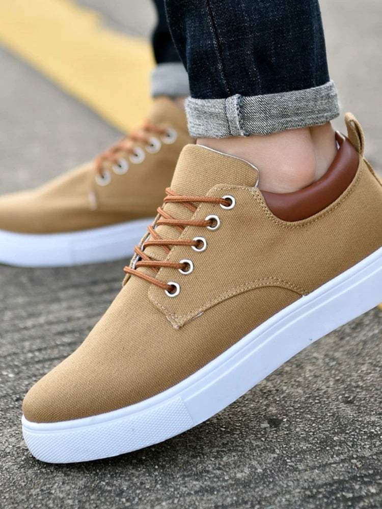 Pierre | Chaussures Basses Toile Homme Lacets Marron